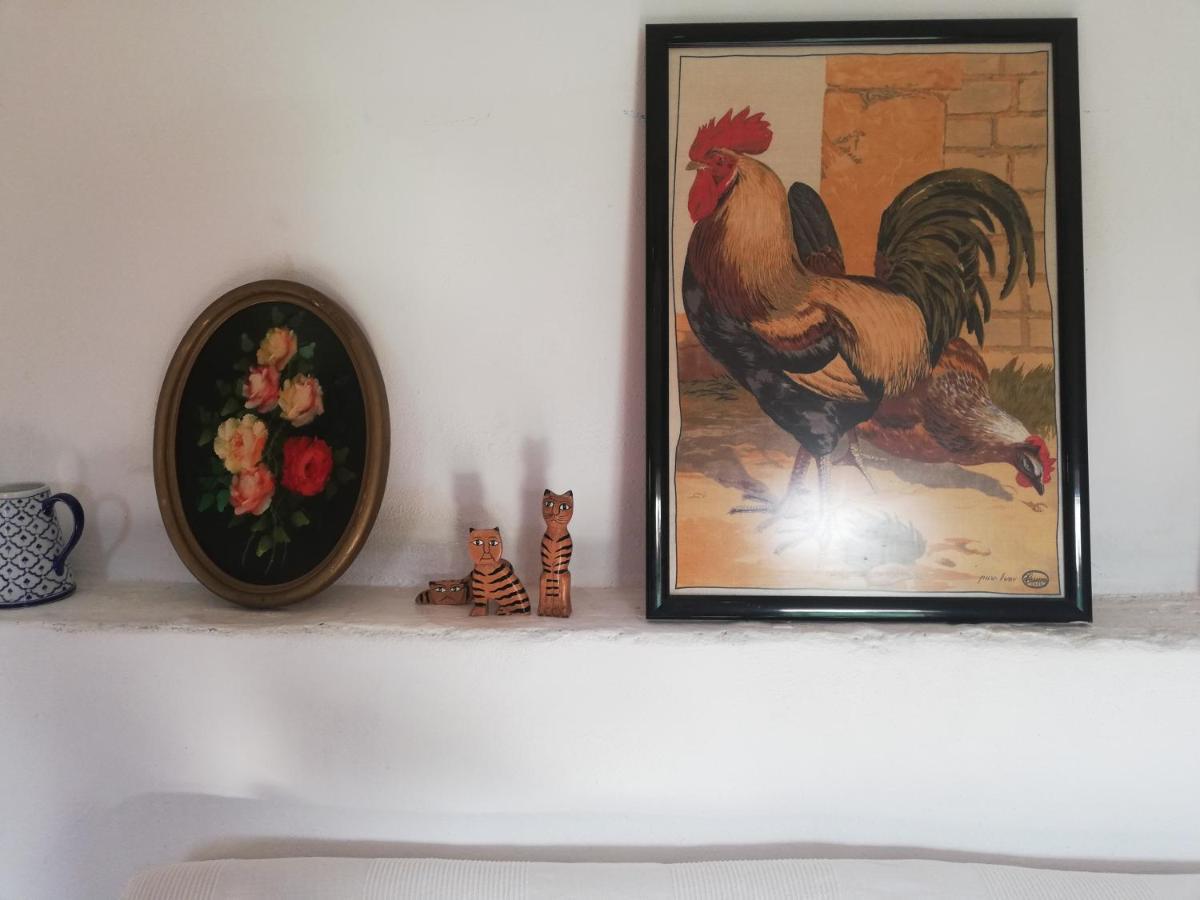 Apartamento Country side loft Valencia Exterior foto